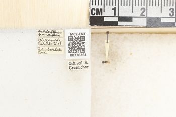 Media type: image;   Entomology 776261 Aspect: Labels